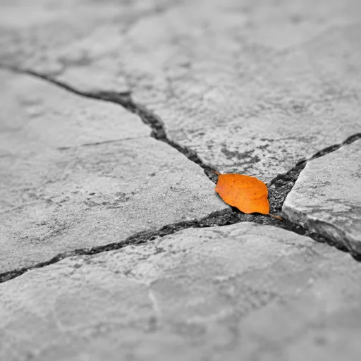 Orchestrer une solution marketplace B2B performante pour la génération de leads